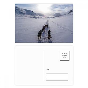 Imagem de Dog Animal Snow Husky conjunto de cartões postais de aniversário para enviar cartões de agradecimento