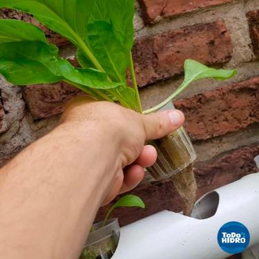 Imagem de Inseticida Sabão de potássio para Hidroponia e Solo, Orgânico (1000ml)