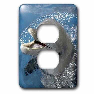 Imagem de 3dRose Tampa de tomada LLC lsp_86554_6 Atlantic Bottlenose Dolphin, Roatan, Honduras Sa12 Fvi000 Franklin Viola 2