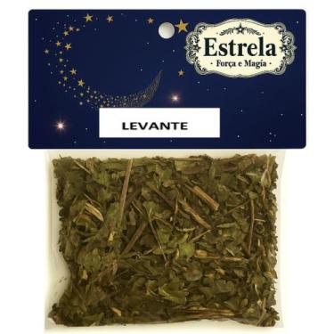 Imagem de Erva Levante na Umbanda e Candomblé  Força  Renovação  Proteção Espiri