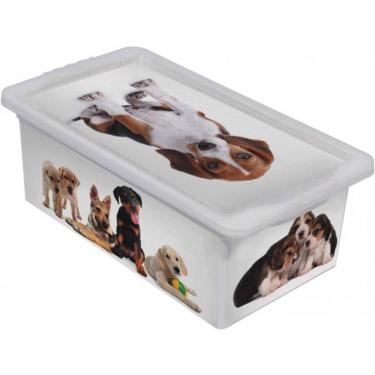 Imagem de Caixa Organizadora 2,3 Litros Cães Branca - Or18l-06 - São Bernardo Caixa Org. Container 2,3l Caes Branca Or18l-06