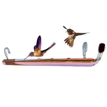 Imagem de Bebedouro De Vidro Exorbitantes Para Beija-flor E Pássaros