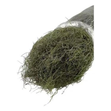 Imagem de Musgo Seco Barba De Bode Saco Grande Com Aprox. 400 Gramas - FLORA FUL