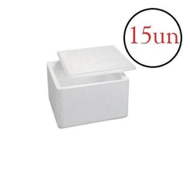 Imagem de Caixa Isopor Térmica 1Kg Gelo Alimento Medicamento- Kit 15Un - Isoterm