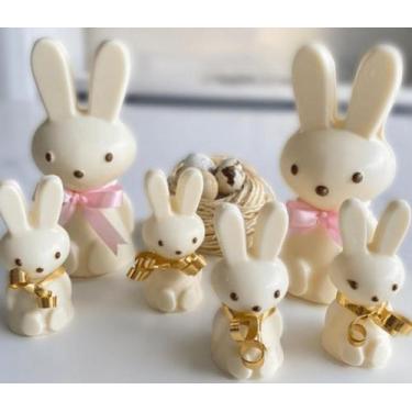 Imagem de Forma Especial Coelho Sentado 3 Partes com Silicone de 15g - BWB