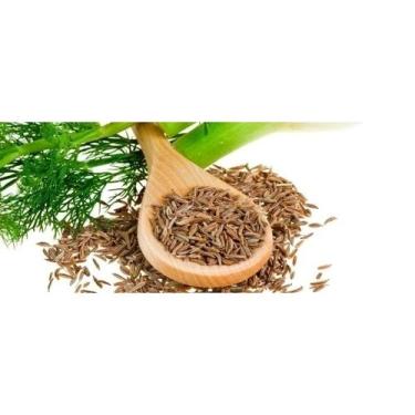 Imagem de Funcho - PREMIUM - 100 gr. - - NoBrand