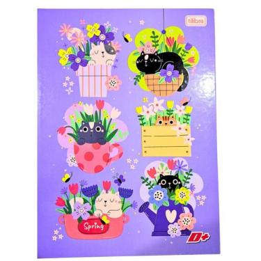 Imagem de Caderno Brochura Grande Universitário D+ 48 Folhas Feminino/Masculino 