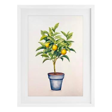 Imagem de Stupell Industries Impressão emoldurada branca de planta serenata cítrica design sob vidro por Andrea Haase, 20 x 14