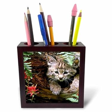 Imagem de 3dRose Bobcat – Suporte para caneta de azulejo, 12,7 cm (ph_649_1)