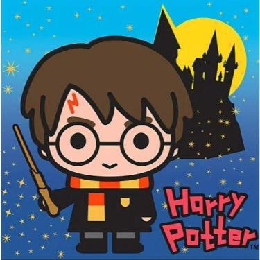 Imagem de Capa Para Almofadas Harry Potter - JULIEN ENXOVAIS, Harry Potter Caste