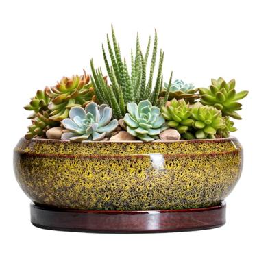 Imagem de EPFamily Vasos de bonsai de cerâmica, vaso de 20 cm com orifícios de drenagem e pires, amarelo leopardo
