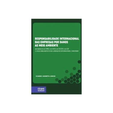 Imagem de Responsabilidade Internacional Das Empresas Por Danos Ao Meio Ambiente - 2025