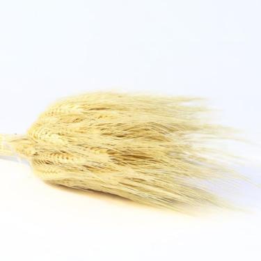 Imagem de Planta Seca Trigo Colorido Bege 50cm