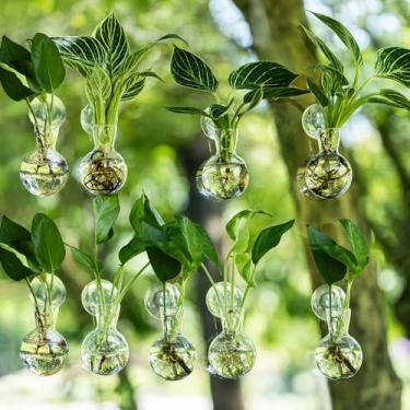 Imagem de DNIENKGE 9 estações de propagação de janela, vaso de propagação com ganchos de ventosa, fácil de instalar, vasos de terrário de vidro para propagação de plantas aquáticas e estacas de enraizamento (9)