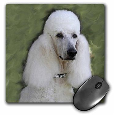 Imagem de 3dRose Mouse pad LLC 20 x 20 x 0,63 cm, poodle padrão (mp_1298_1)