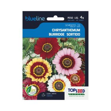 Imagem de Sementes de Chrysanthemum Burridge Sortido, Flores Multicoloridas, 4g, Clima Ameno