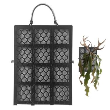 Imagem de Rrlihjgu Placa para Chifre-de-veado | Placa de Montagem Decorativa para Samambaia - Suporte para Orquídeas Platycerium Decor para Jardim Interior Exterior Escritórios