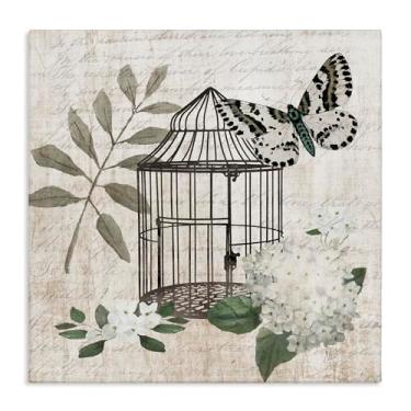 Imagem de Stupell Industries Arte de parede em tela floral de borboleta vintage Menagerie por Nan, 61 x 61 cm