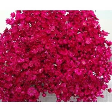 Imagem de SEMPRE VIVAS FLORZINHAS DESIDRATADAS PARA LEMBRANCINHAS ARRANJOS DE MESA CASAMENTOS MAÇO ORGANIZADO(PINK)