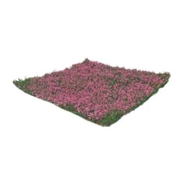 Imagem de Fiocias Flores em Miniatura, de Grama Estática, Modelos Decorativos de Nylon para Artesanato, Adequados para Casa, Trens E Conjuntos de Presentes, a, Tamanho real