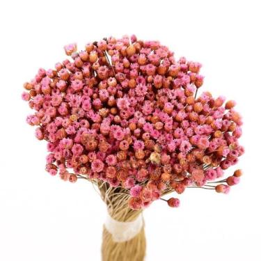 Imagem de Botão Jazida Rosa Desidratado - Tem Flores