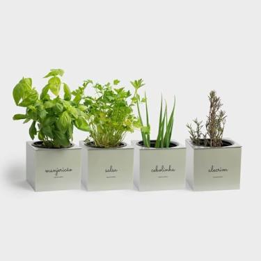 Imagem de Kit Plantio Completo Minha Horta Plástico Vaso Autoirrigável Substrato Sementes Jardim Hortaliças (Branco)