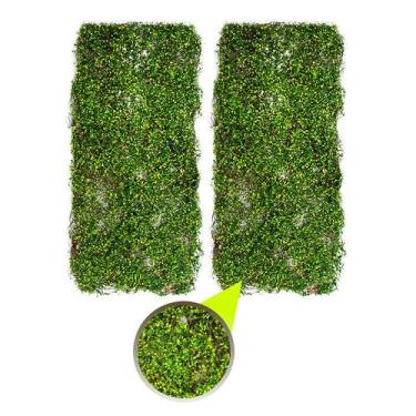 Imagem de 2 Unid Placa Grama Artificial Jardim Vertical Aramavel 40X90 - Rod