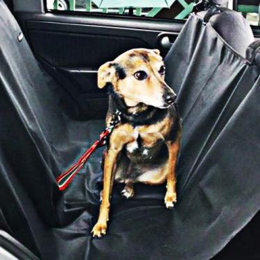 Imagem de Capa Protetora Levar Cachorro No Banco Do Carro Impermeável - Breeze