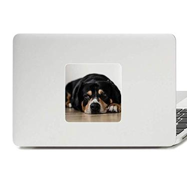 Imagem de Adesivo de vinil com foto de animal de estimação para decoração de PC