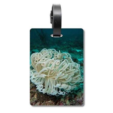 Imagem de Bolsa de viagem verde oceano, água-viva, ciência, natureza, bagagem, cartão, pendurado, etiqueta