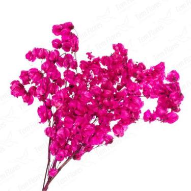 Imagem de Maço de bougainville  - Flores Desidratadas - Decoração Enfeite SecasF