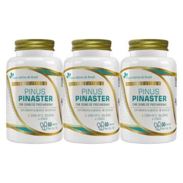 Imagem de 3x Pinus Pinaster Com Procianidinas 200mg + Vitamina E + Selênio + Zin
