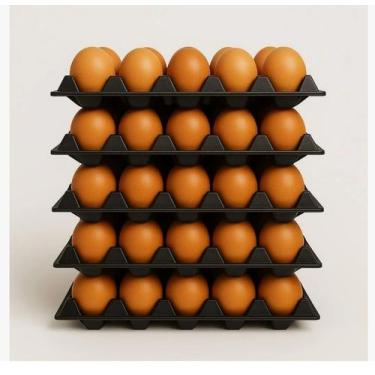 Imagem de Porta Ovo Cartela Plástica Para 30 ovos Bandeja Higiênica - NoBrand, P