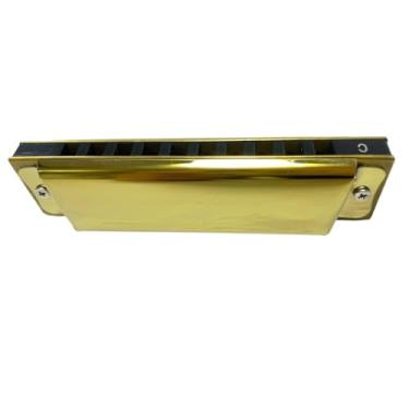 Imagem de Gaita profissional 10 furos C Tone Blues Harmonica para iniciante profissional (dourado)