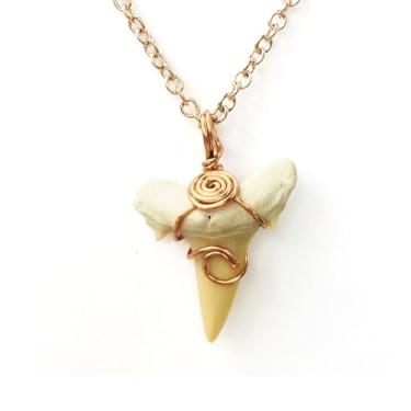 Imagem de Colar de dente de tubarão natural, joia genuína fóssil de dentes de tubarão para homens, colares de praia descolados, colar de surfista de praia para mulheres, Multiple Sizes, Dente de tubarão