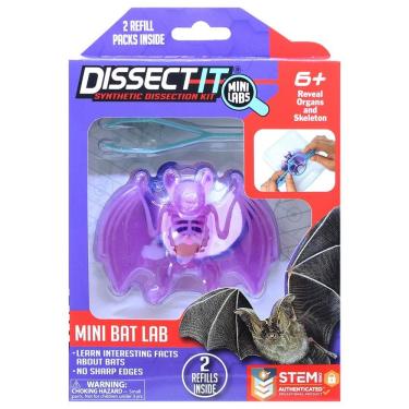 Imagem de Kit De Dissecação Mini Lab Dissect-it - Morcego