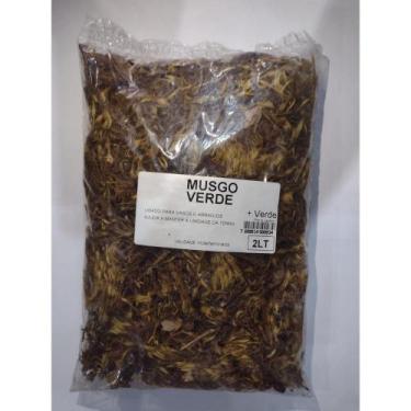 Imagem de 2 Litros Musgo Verde para arranjos artificiais ou naturais complemento