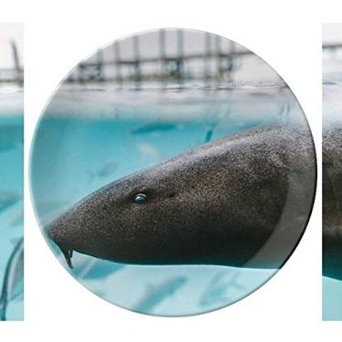 Imagem de Placa decorativa de porcelana Salver Salver para jantar com animais de tubarão e oceano