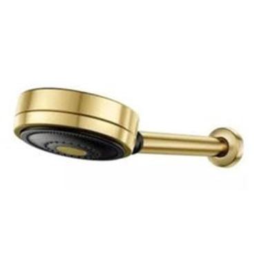 Imagem de Chuveiro Technoshower Ouro Escovado Docol Dourado