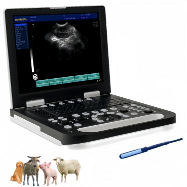 Imagem de SUNBESTA Máquina de ultrassom veterinário RS-N50 com tela LCD HD grande de 38.1 cm para cães, gatos, porcos, ovelhas, cabras, vacas, gado, cavalos, ultrassom para gravidez (sonda linear retal)