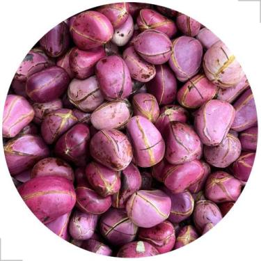 Imagem de Kit 50un Semente Obi Africano 4 Gomo Ritual Candomblé - Rei Dos Orixás