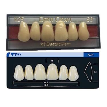 Imagem de Dente Dent Clean Anterior A25 Superior - Imodonto, 69
