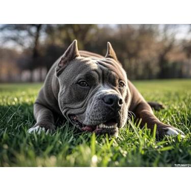 Imagem de TUTUMAY21 Arte de diamante 5D azul Staffordshire bull terrier pintura de diamante kits DIY completo redondo strass por número bordado artes e artesanato para sala de estar, quarto, decoração de parede