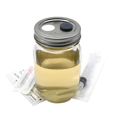 Imagem de Kit de cultura líquida de cogumelos – Solução de germinação de esporos e aumento de micélio/Novo lançamento (473 ml OU 300 ml)