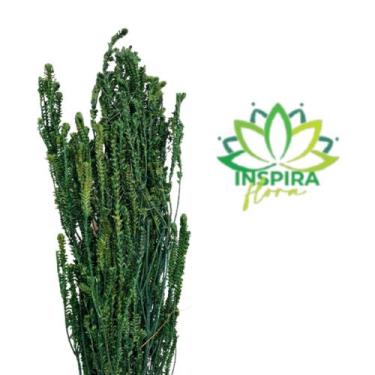 Imagem de Capim Verde-Amarelo - Inspira Flora, Verde