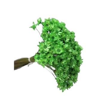 Imagem de Flor Sempre Viva Branca I Kit com ate 1.200 Flores Secas, Buquês, Decoração de Casamento e Eventos - Beleza Natural Eterna(Verde claro,8buquês)