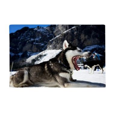 Imagem de DIYthinker Tapete antiderrapante para porta de banheiro com imagem de cachorro de neve com boca grande