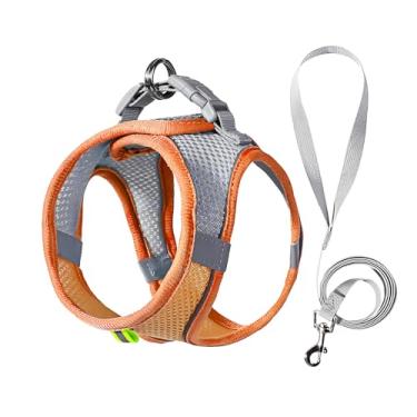 Imagem de Peitoral ajustável antipuxão com coleira de 1,5 m, refletor acolchoado confortável para cães e gatos pequenos (2,9 kg - 5,9 kg), serve para Papillon, maltês