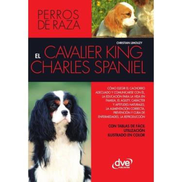 Imagem de El cavalier king charles spaniel - Espanhol