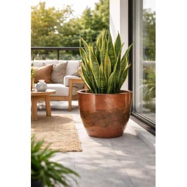 Imagem de Vaso Grande Planta Liso Marmorizado Polietileno Jabuticabeira Fruteira (Marrom)